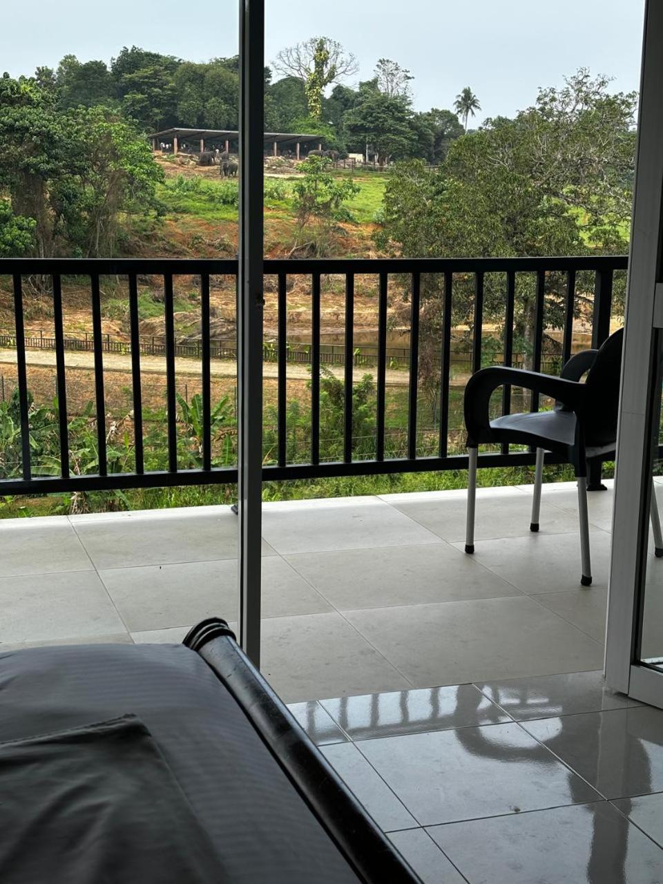 Pinnawala Elephant Front View Hotel Rambukkana 외부 사진