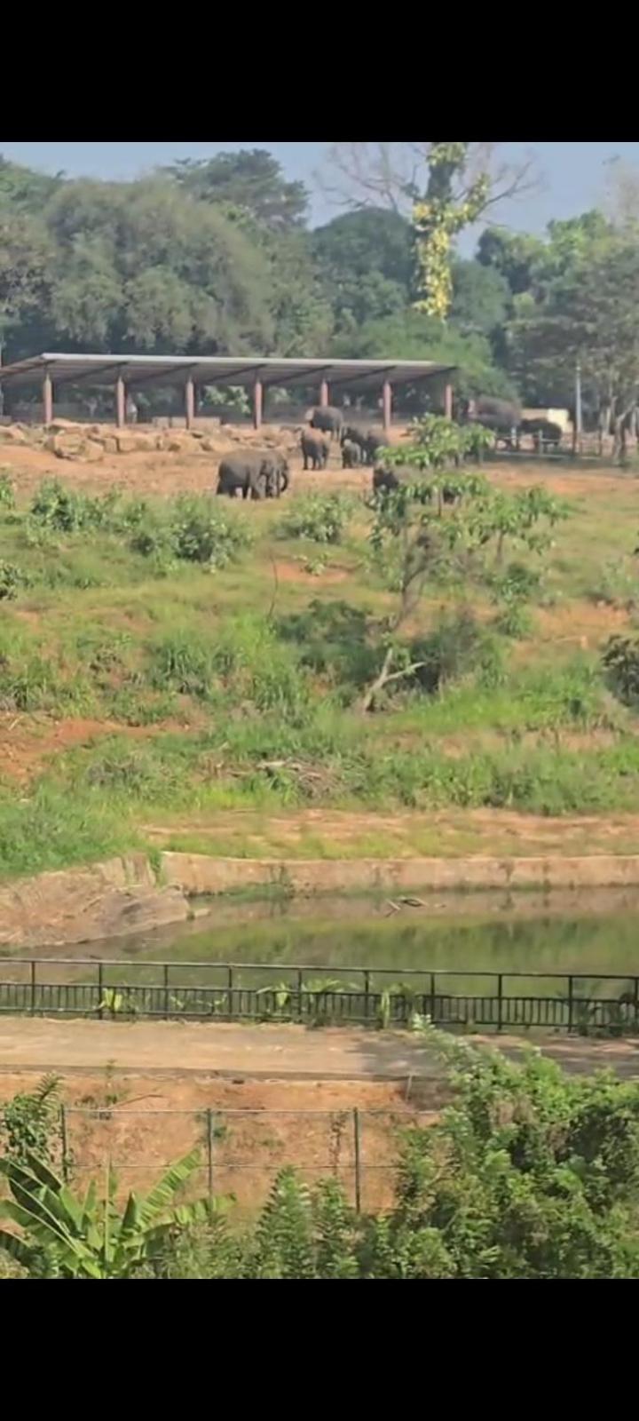 Pinnawala Elephant Front View Hotel Rambukkana 외부 사진